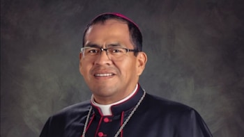 El papa León XVI hizo