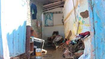 Continúa la alerta por las