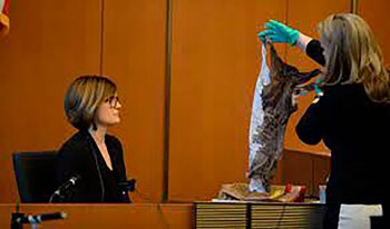 La fiscal muestra los pantalones