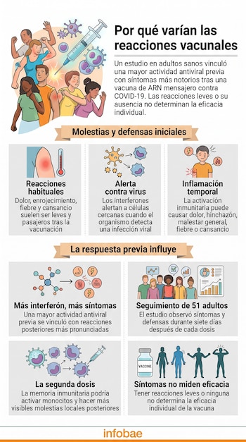 Infografía estructurada en bloques con ilustraciones de personas, jeringas, virus y esquemas explicativos sobre el sistema inmunitario.