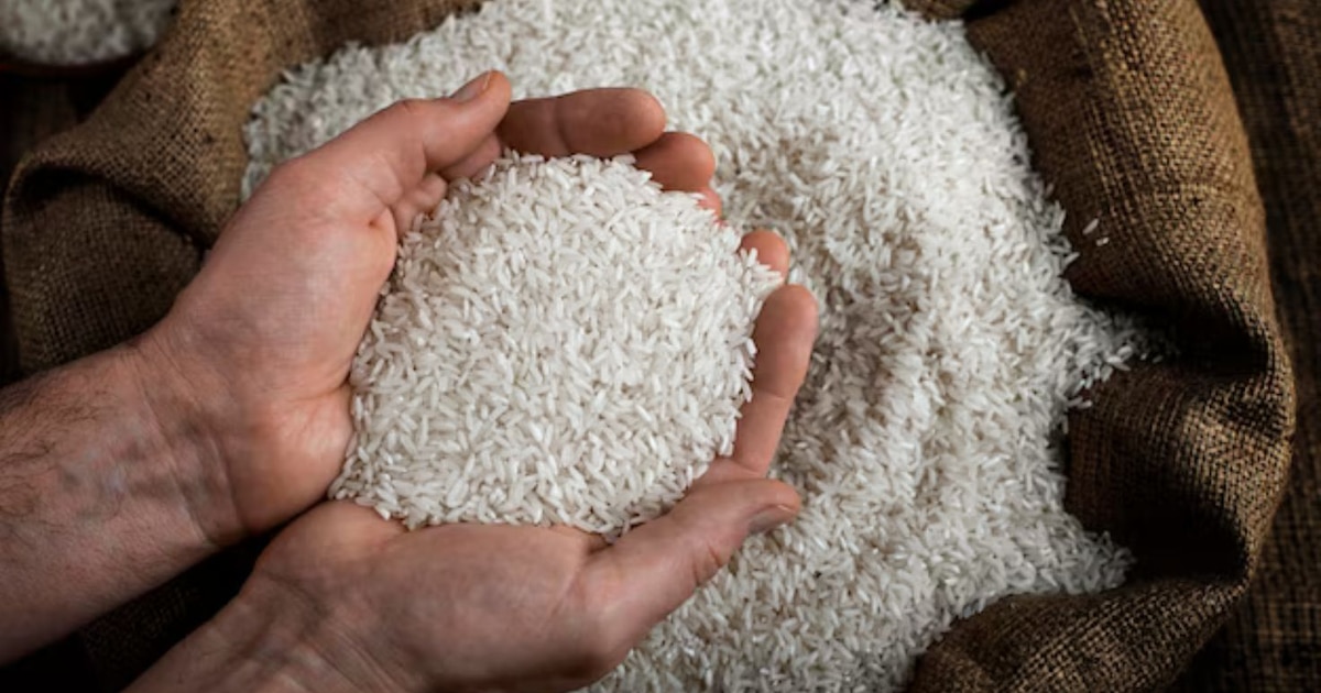 Crisis arrocera en Perú: ¿Importaciones o el colapso de una sola variedad?