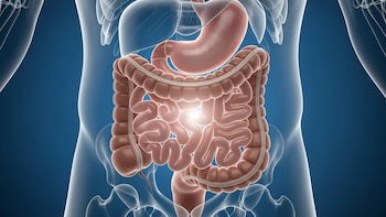 Digestión lenta: 10 signos que indican que deberías cambiar tu dieta