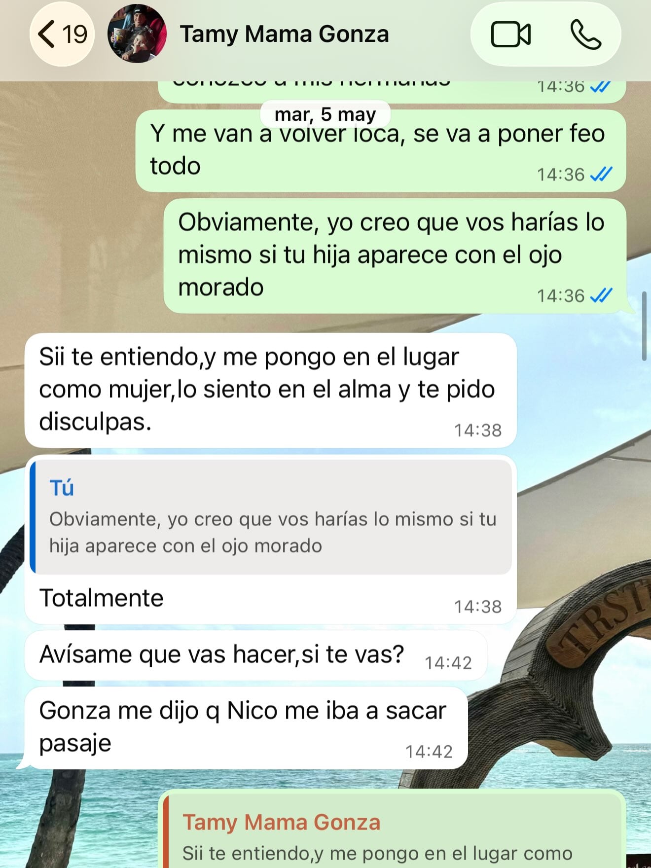 La madre del futbolista le pidió disculpas a Dinna en una conversación de WhatsApp y reconoció entenderla como mujer