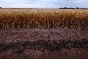 El objetivo del informe fue