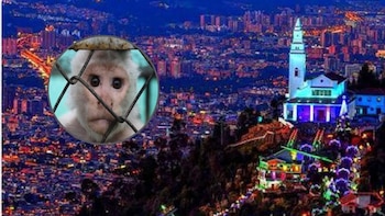 La entidad dio a conocer