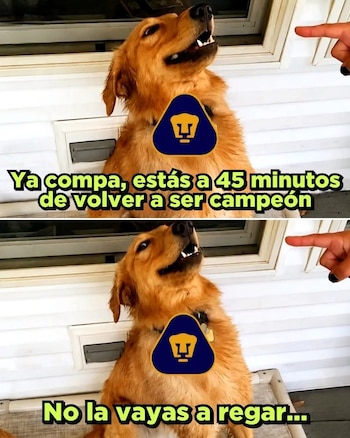 (Redes sociales)