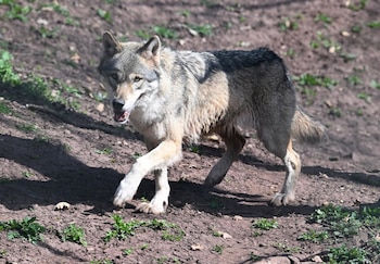 27/03/2025 FILED - 27 March