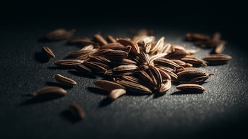 Granos marrones de alcaravea, especia para pan, condimento herbal, semillas curativas, sabor anisado, uso gastronómico, remedio natural, hierbas aromáticas - (Imagen Ilustrativa Infobae)