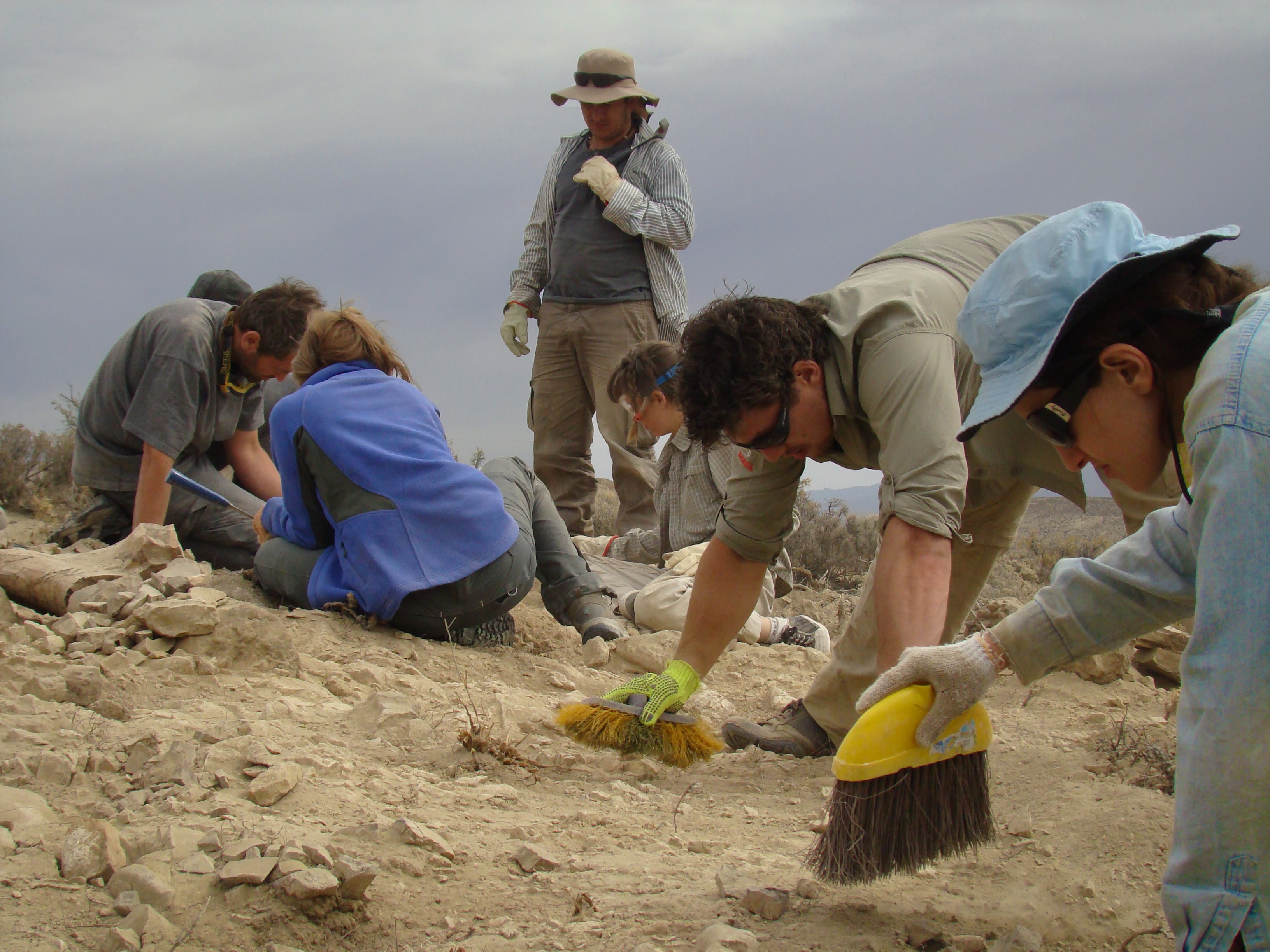 El nombre Bicharracosaurus dionidei rinde homenaje a Mesa y a los habitantes rurales que colaboran en estos hallazgos (MEF Chubut)