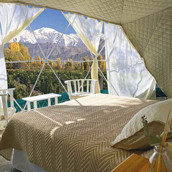 Los glumpings contarán con todos