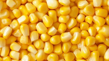 El maíz congelado mejora su