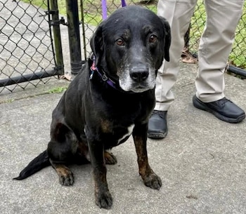 Las imágenes difundidas por Madeleine