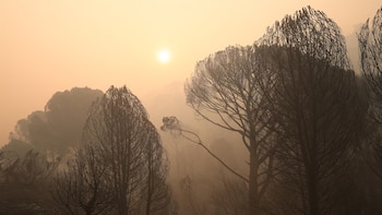 Ecologistas reclaman un "gran acuerdo político y social" contra la emergencia climática