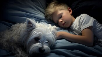 Cómo usar una cámara Wi-Fi: la tecnología para seguir en contacto con el hogar desde el celular