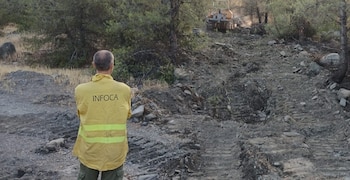 Un agente del Infoca observa la superficie quemada en el incendio forestal de Las Tres Villas.