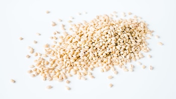 La cebada se utiliza para