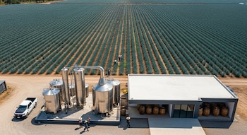 Campo de agave azul con hileras, destilería con tanques de acero inoxidable, barriles de madera, un edificio, una camioneta y trabajadores.