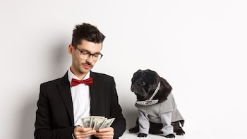 Marco, médico: “Tu perro es