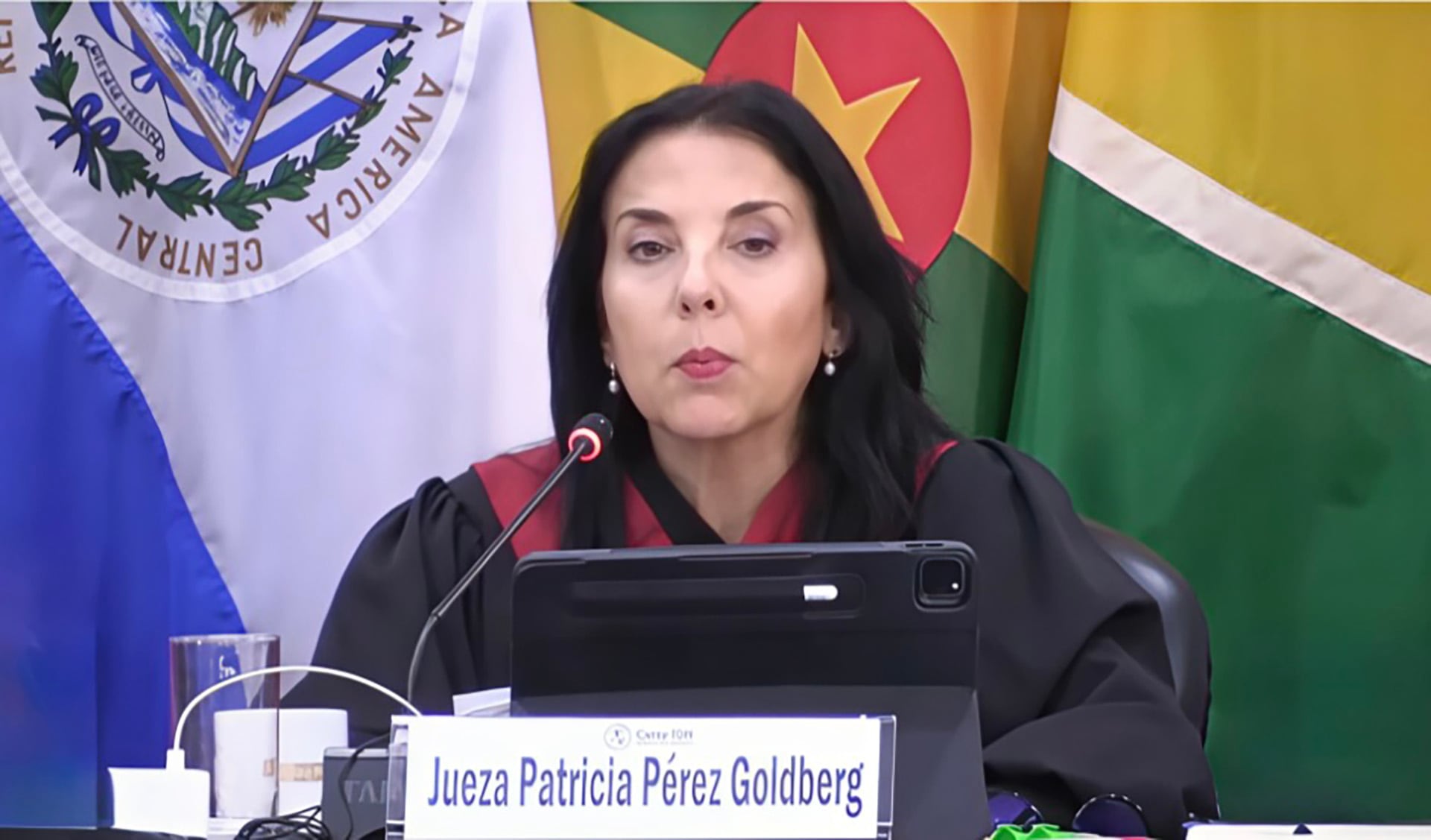 La audiencia estuvo presidida por la jueza Patricia Carolina Rosario Pérez Goldberg, vicepresidente de la Corte Interamericana de Derechos Humanos