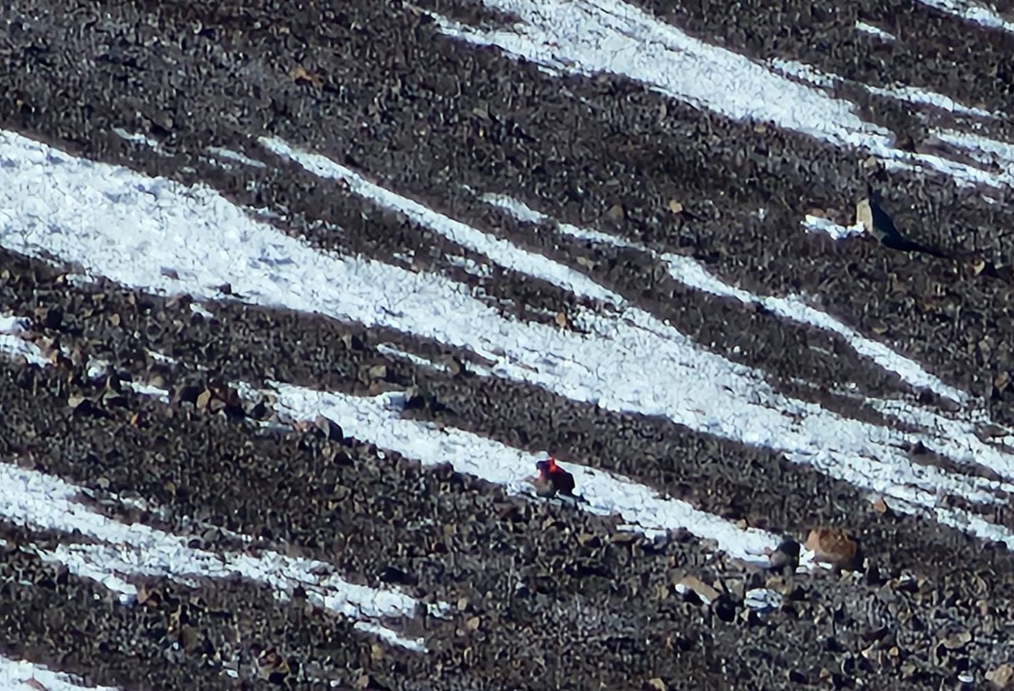 Un andinista japonés de 20 años logró ser rescatado tras caer más de 300 metros