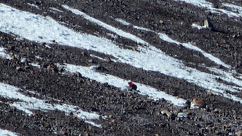 Otro impactante operativo en el