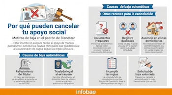 Infografía: seis razones de cancelación de apoyos sociales. Íconos de tumba, pasaporte, documentos, personas, casa, firma. Texto explicativo.