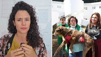 Luisa Alcalde destaca acciones de