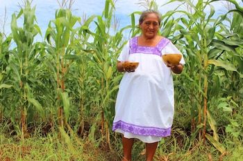 Mujer de mediana edad con cabello gris, vestida de blanco y púrpura, sonríe en un campo de maíz mientras sostiene dos cuencos de madera