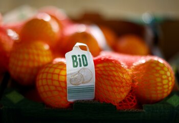 Las malas condiciones climáticas sumada