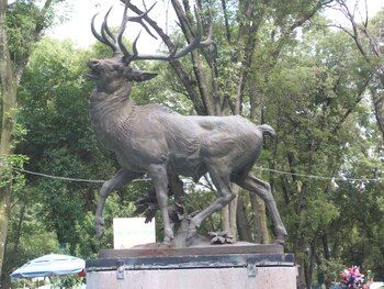 En el parque se encuentran