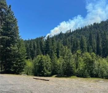 Columna de humo blanco se eleva desde un denso bosque verde en una montaña bajo un cielo azul claro, vista desde un área de grava en primer plano