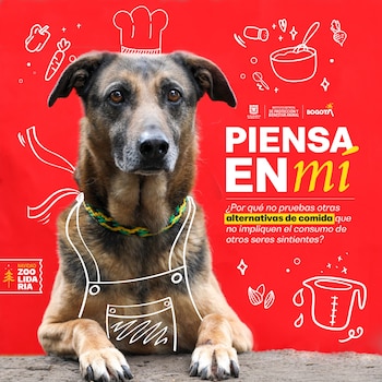 La Secretaría de Ambiente dispuso