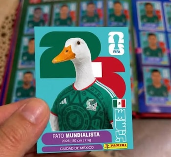 memes Pato Merlín