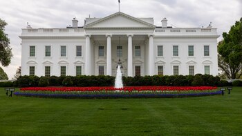 Bukele dice a Trump que