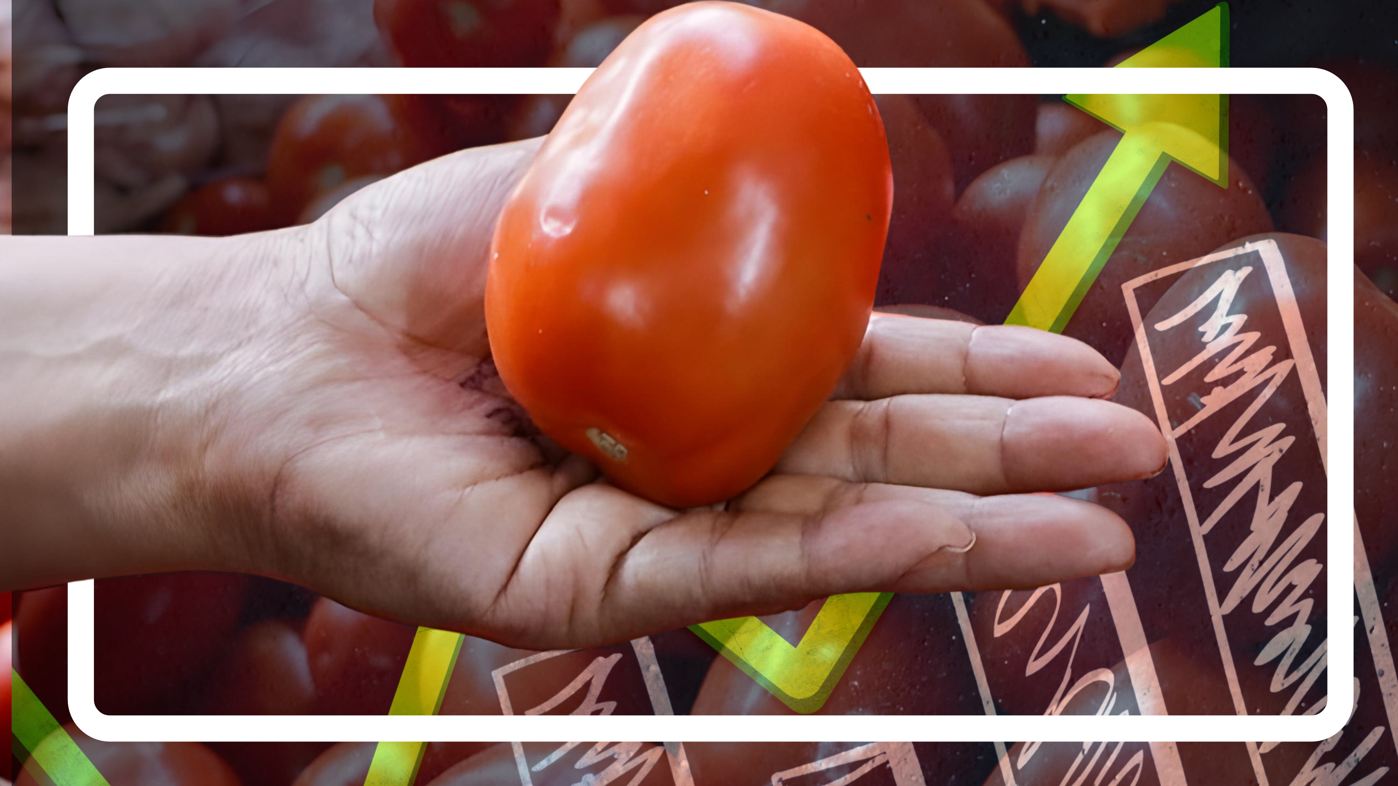 El jitomate registró el mayor aumento de precio en la quincena, con un alza de 32.17% que impactó directamente en el bolsillo de los consumidores. (Infobae-Itzallana)