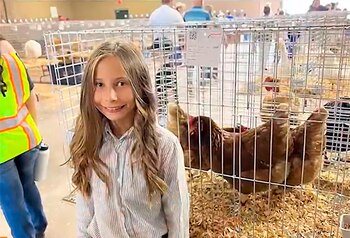 Una niña de 10 años gana más de 2.000 dólares vendiendo pollos, pero el banco se quedó con el dinero