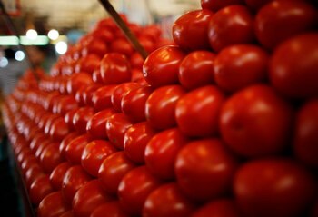 El tomate encabezó los aumentos