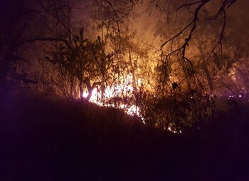 El fuego se registró en