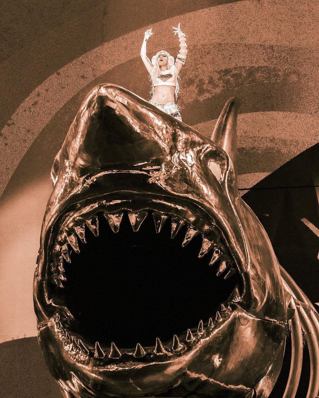 La Bichota emocionó a sus millones de seguidores en Colombia con los conciertos en Bogotá - crédito @karolg/Instagram