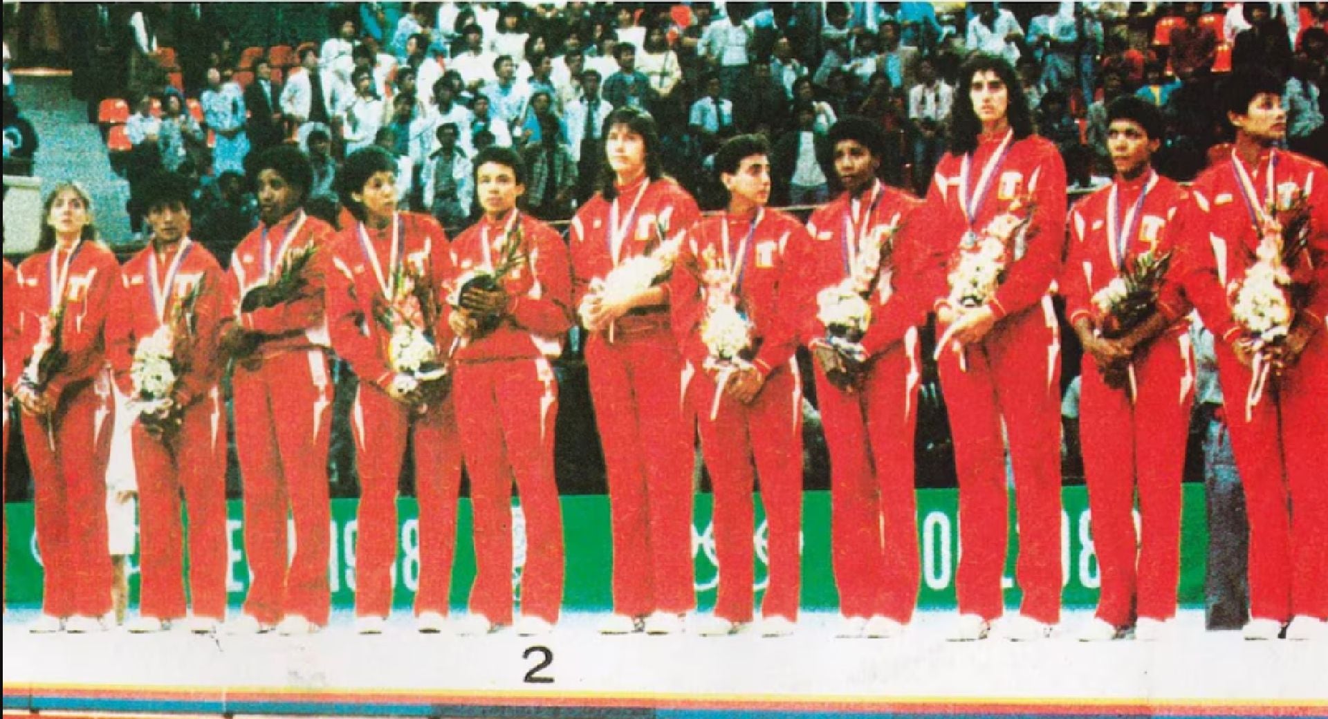 La selección femenina de vóley vivió su mayor gesta el 29 de septiembre de 1988 en Seúl, cuando obtuvo la medalla de plata olímpica tras un vibrante duelo contra la poderosa Unión Soviética. (FPV)