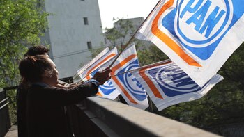 “Le quedó grande México”: diputada