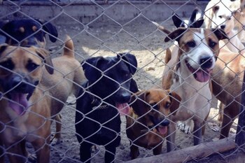 Hoy que estamos en plena
