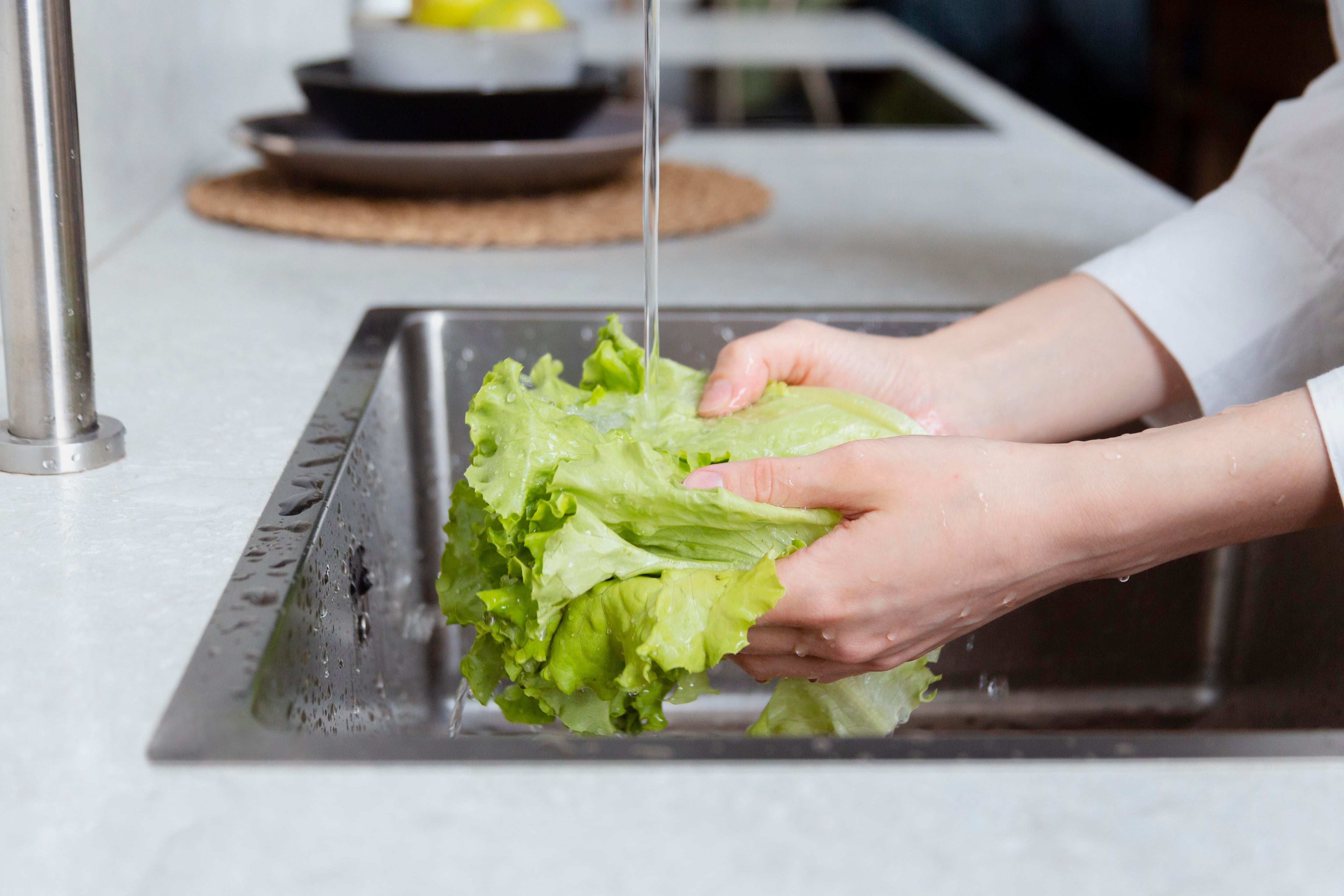 Lavar vegetales reduce la suciedad, pero no elimina por completo el parásito Cyclospora cayetanensis en alimentos crudos (Freepik)