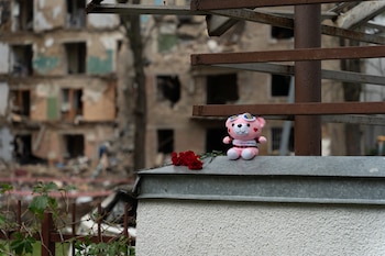 Peluche rosa con gafas y dos claveles rojos sobre una cornisa de metal, con un edificio destruido al fondo