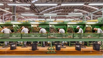 El Pabellón Español de la