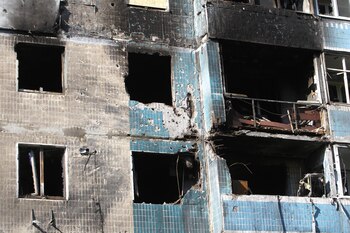 Imagen C2T4YVKX3FBNBBH7FFIEHC6S5E