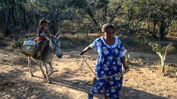 La Guajira: conozca los 11