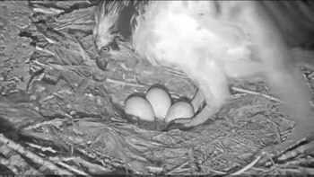 Cuando terminó la tormenta, la