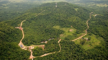 Extranjerización de tierras: un historiador explicó cómo nació el debate y cuáles son las zonas bajo mayor presión