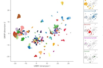 Visualización del conjunto de datos